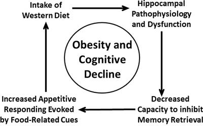 Frontiers | The Cognitive Control of Eating and Body Weight: It’s More